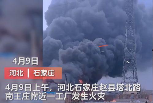 王庄最新爆料新闻视频,揭秘事件背后惊人真相！  第3张